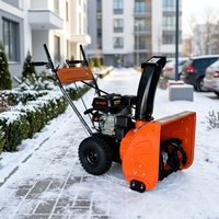 Souffleuse à neige thermique compacte à pousser, idéale pour l'élimination de la neige à la maison, dans la cour et sur les allées – Vente en gros usine