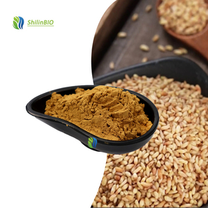 Extracto de Semilla de Ciprés de Alta Calidad 10:1 20:1, Extracto de Semilla de Platycladi en Polvo de Grado Alimenticio - Product Image 3