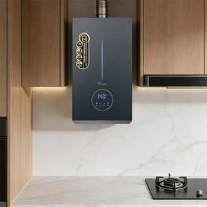 Chauffe-eau instantané électrique et gaz 24 kW à <span class=keywords><strong>prix</strong></span> de gros, avec affichage LED, en cuivre, à température constante, pour usage domestique - Product Image 5