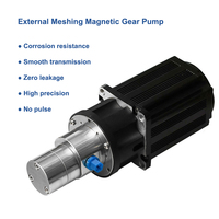 Pompe de transfert d'huile et de carburant 12v haute température cc micro mini pompe de dosage à engrenages haute pression sans balais