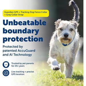 Collier de suivi GPS pour chien PetSafe Guardian avec sangle grise, localisation en temps réel, traceur d'animaux sans fil - Product Image 2