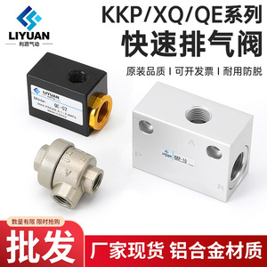 วาล์วระบายลมเร็วแบบนิวแมติก LiYuan รุ่น XQ170600 0.1-0.8Mpa สำหรับเพิ่มความเร็วของกระบอกสูบ - Product Image 5