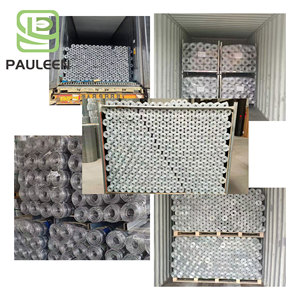 Hot nhúng mạ kẽm hàn dây lưới cuộn lớn lên vườn giường nhà máy hỗ trợ gia cầm lưới Hàn hàng rào thỏ cắt - Product Image 6