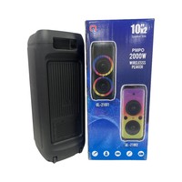 Haut-parleur LED RGB pour extérieur avec double haut-parleur de 10 pouces, boîtier en plastique, connectivité sans fil, USB, Aux, alimentation par batterie, sortie 50-100W
