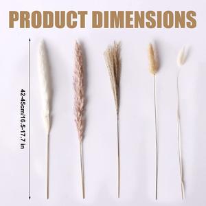 AYOYO OEM Hierba de Pampa Estilo bohemio Flores secas 85 PIEZAS Combinación de 5 colores Decoración de la boda del hogar - Product Image 3