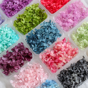 Vente en gros de fleurs d'hortensia naturelles, réelles, préservées, séchées et pressées, à bas prix, pour la fabrication de bougies, de savons, de résines et la décoration artistique. - Product Image 3