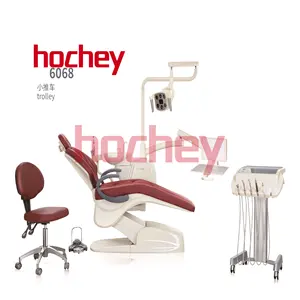 Hochey Medical Mobile multifunctional Chian fashion Dental Chair China Reflecting Led Lamp For Dental Chair Used on Sale