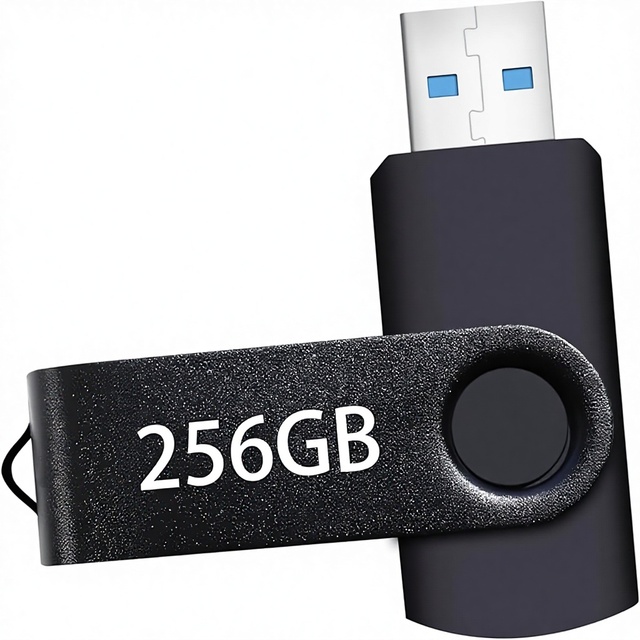 USB Flash Drive 256GB Metal Portable Thumb Drive High-Speed USB 2.0 Keychain with 1-Year Warranty for PC/Laptop