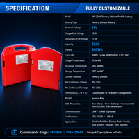 Batterie liquide 24V 20Ah 480Wh LiFePO4 8S6P prismatique 800 cycles pour chariot élévateur électrique, AGV, transpalette