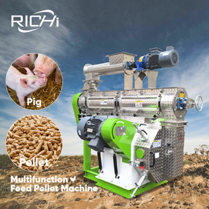 RICHI Pig Feed Pelletier maschine 3 Tonnen pro Stunde Kunden spezifische Chicken Pig Feed Machinery für industrielle Tierfutter Pellet izer - Product Image 1