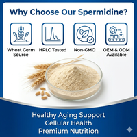 Spermidine Naturelle 1% Extrait de Germe de Blé en Poudre – Complément Santé pour l'Âge, l'Autophagie et la Longévité – Ingrédient OEM ODM – Fabricant