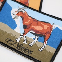 Parches para planchar con logotipo de ropa, sombreros tejidos de marca personalizados