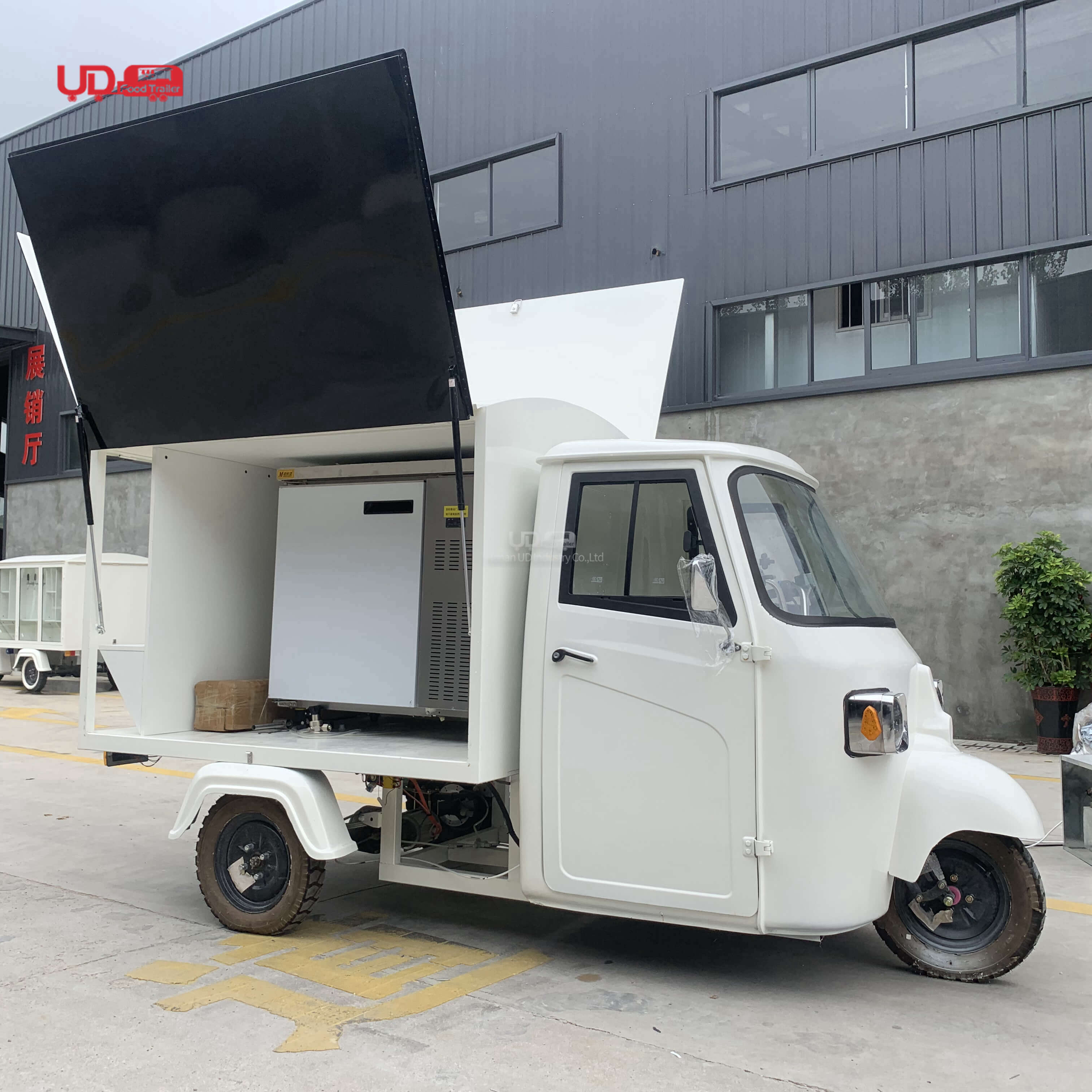 Piaggio Ape for Sale Van Cargo Delivery Truck 48V