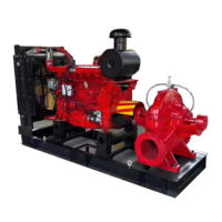 Pompe à eau personnalisable à haute pression OEM à moteur diesel chromé Pompe à jet à double aspiration pour l'irrigation agricole