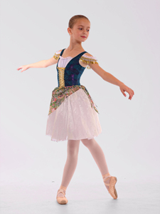 Anna Shi Nouveaux Designs Luxueux Tutu <span class=keywords><strong>de</strong></span> Danse Ballet en Spandex Violet avec Dentelle <span class=keywords><strong>de</strong></span> Jade - Product Image 3