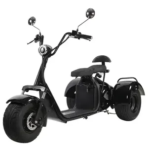Les douanes et les taxes de l'entrepôt des États-Unis incluent le tricycle citycoco de style classique à 3 roues 25MPH 60v20ah 2000W X7 - Product Image 1