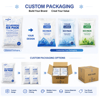 Herbruikbare zelfabsorberende icepack voor medische koudeketen, platte watergeactiveerde koelpack voor vis, vlees, fruit en groenten