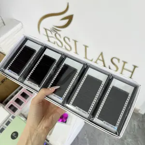 Wholesale Private Label Cashmere Individual Faux Mink Eyelash Extension Russian Extensions Trays