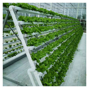 Système hydroponique aquaponique NFT AGG pour jardin intérieur, boîte de culture de plantes et légumes avec faible coût d'entretien et garantie d'un an - Product Image 3