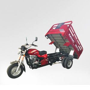 Newest 200cc Tricycle/ 3 Wheeler/ Used Five Wheel Motorcycle - Product Image 1