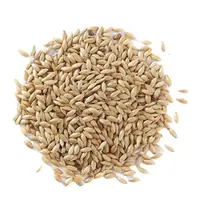 Buy Wholesale Canary Seeds Organic Canary Bird Seeds for Sale | Buy Bulk Processed Natural Birds Food AA Grade from UK;33 Brown