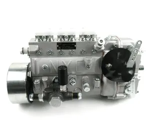 YC6108G YC6B125 Engine parts B7606-1111100A/ 340-1111100C-493 B6AD54-Z 860152109 High pressure fuel pump