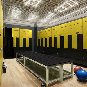 जिलिफू जेड-प्रकार स्टोरेज एचपीएल कॉम्पैक्ट लैमिनेटेड स्पा लॉकर वाटरप्रूफ और फायरप्रूफ लॉकर - Product Image 2