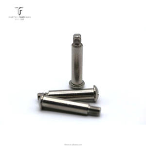 TianFang Özel Paslanmaz Çelik Omuz Vidası SS304/SS316 Yarıklü Tava Başlı Hassas Sınıflar 4.8/6.8/8.8/10.9/12.9 Çinko Kaplama - Product Image 1