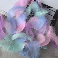 Plume d'oie de couleur macaron |   Petites/Moyennes Plumes Flottantes pour Décoration de Mariage et d'Événements, Scène et Remplissage de Boîtes Cadeaux Yiwu