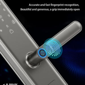 Ev Kapısı Kapı Zili Kolu Düğmesi Dijital Anahtar Kartı Biyometri Parmak İzi TTLock Tuya Uygulaması Elektronik Akıllı Kapı Kilidi Üreticisi - Product Image 4