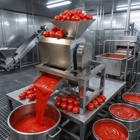 Fruit Tomatenpulpmachine Mango Puree Extractor Passievrucht Abrikoos Puree Verwerking 304 RVS Motor Hoogwaardig
