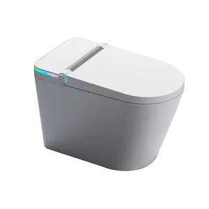 陶瓷美国标准自动厕所马桶一体式浴室电动智能智能马桶