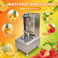PS-Automatische 304 RVS Fruit- en Groenteschilmachine met Meerdere Messen voor Papaya, Pompoen, Ananas, Aardappel