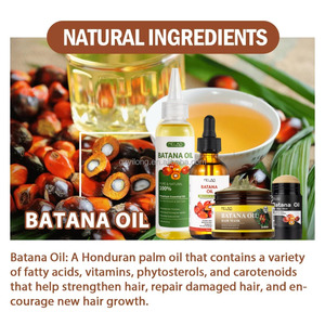 Top Raw Materials From Honduras Batana <strong>Oil</strong> for Hair Growth Repair Organic 100% Pure Natural Thicker Stronger Shiny Hair Care <strong>Oil</strong> - Product Image 2