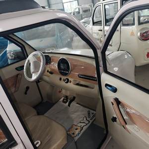 Precio de Fábrica para la Venta de Vehículos Eléctricos Cerrados de Cuatro Ruedas con Control Remoto de Nueva Energía - Uso para Adultos, Carga Rápida, Autonomía Inferior a 100 km - Product Image 4