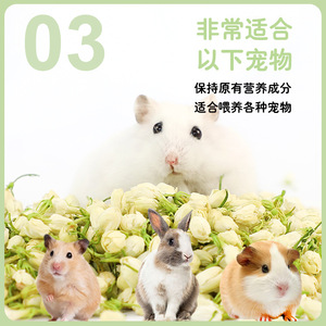 Crown Asia Jasmine Snacks 400ml Flores Secas Naturales Para Alimento de Hámster - Product Image 3