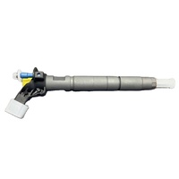 Nuevo Inyector de Combustible Common Rail para Motor Diésel Modelo 0445116017 y 0445116018 33800-2F000