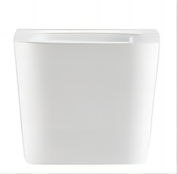 Vente directe des fabricants de toilettes bidet de luxe à prix raisonnable toilettes murales en céramique pour salle de bain