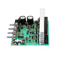 Nouveau haut-parleur de subwoofer haute puissance à DX-2.1 canaux Module de carte d'amplificateur de puissance fini bricolage