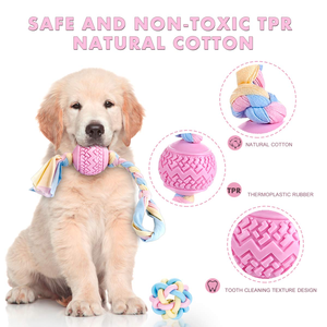 Wholesale Bite-resistant Safety TPR Pet Chew Toy for Dogs Play Colorful Funny Pet Interactive Teeth and Grinding Training Toys - Product Image 6