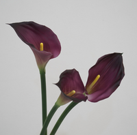 Realistische Künstliche Blumen Latex Künstliche Calla-Lilie 66cm Naturgetreue Calla-Lilie Kunstblume für Hochzeitsdekoration