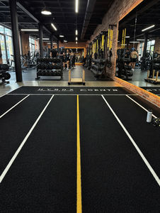   Césped <span class=keywords><strong>Artificial</strong></span> para Pistas de Trineo de 15 mm, Césped <span class=keywords><strong>Artificial</strong></span> para Interiores para Pisos de Fitness y Áreas de Entrenamiento en Gimnasios - Product Image 1