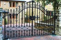 Porte principale fantaisie en fer forgé antique, design de porte d'entrée, mur à rebond, porte en acier pour le jardin en vente, livraison gratuite
