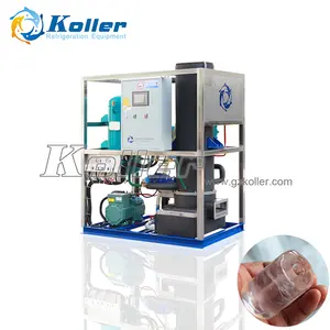 Koller Cylinder Ice Making Machine 1 Ton Per Day Pure Industrial Flake Tube Plate Cube Block Ice Making Ice Cube Maker