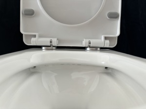 <span class=keywords><strong>Sanitas</strong></span> Suspensas Casa Banho Toilette Santary Ware Commode Wc Suspendu Wall Hung Toilet - Product Image 5