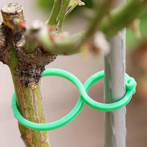 Clips de fixation en plastique en forme de 8 pour plantes, réutilisables, pour treillis de jardin, support pour tiges de tomates, concombres et fleurs - Product Image 4