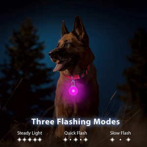 Wholesale Usb Charging <strong>Glowing</strong> <strong>Dog</strong> <strong>Collar</strong> With Pendant Detachable Led Light Bright for Small <strong>Dogs</strong> Cat Night Safety <strong>Collar</strong> - Product Image 3