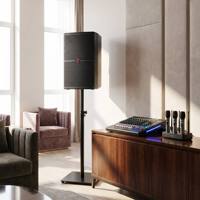 Haut-parleur professionnel pleine gamme de 12 pouces pour KTV et divertissement à domicile, système de sonorisation DJ complet, enceintes, équipement audio