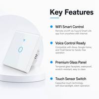 Interrupteur mural intelligent WiFi Tuya, panneau de commande intelligent sans fil pour la maison, interrupteur tactile en verre trempé, contrôle par application