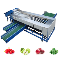 Rollersorteertafel Voor Tomatenaardappel En Kersen Sorteren Roterende Appeltransportsysteem Afscherming Bosbessentransportband